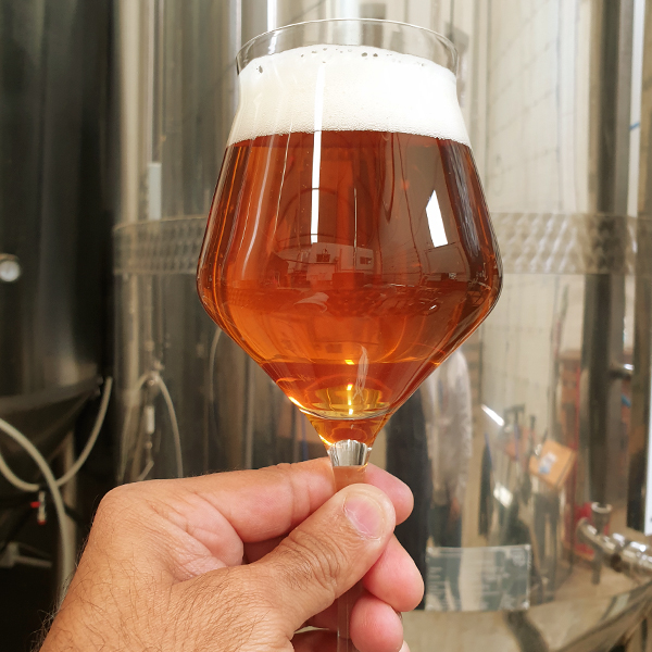 Vaso de cerveza ámbar con espuma blanca, sostenido por una mano, frente a un fondo de tanques de fermentación en una cervecería.